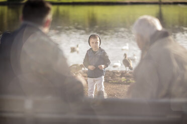 Großvater, Vater und Sohn zusammen im Park - ZEF010192