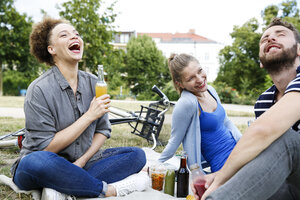 Drei glückliche Freunde trinken im Park - WESTF021742