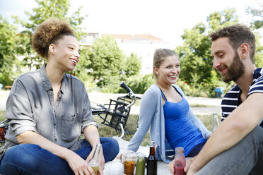 Drei glückliche Freunde trinken im Park - WESTF021743