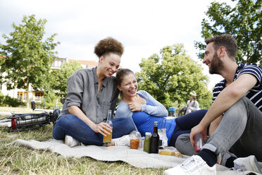 Drei glückliche Freunde trinken im Park - WESTF021745