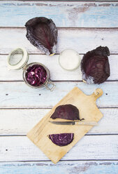 Fermenting red cabbage - LVF005269