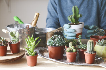 Young man transplanting cactus on wooden table - RTBF00368