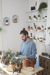 Junger Mann pflanzt Kaktus in seinem Atelier - RTBF00373