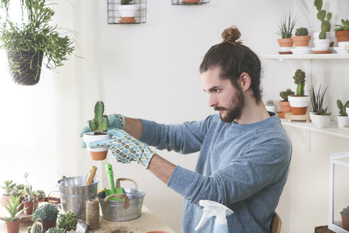 Young man transplanting cactus in his studio - RTBF00374