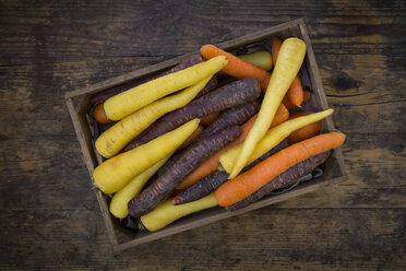 Three different sorts of carrots in a wooden box - LVF05301
