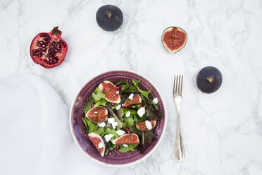 Mixed salad with goat cheese, pomegranate seeds and figs - LVF05322