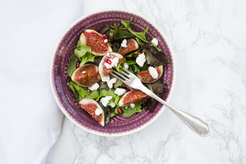 Gemischter Salat mit Ziegenkäse, Granatapfelkernen und Feigen - LVF05325