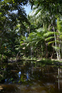 Brasilien, Para, Trairao, Amazonas-Regenwald, Teich - FLKF00701