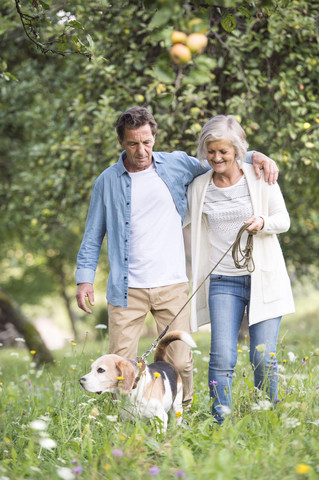 Älteres Paar auf einem Spaziergang mit Hund in der Natur, lizenzfreies Stockfoto