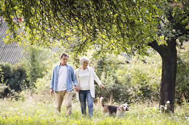 Senior couple on a walk with dog in nature - HAPF00863