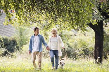 Älteres Paar auf einem Spaziergang mit Hund in der Natur - HAPF00864