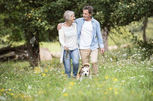 Älteres Paar auf einem Spaziergang mit Hund in der Natur - HAPF00867