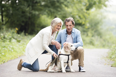 Älteres Paar mit Hund in der Natur, lizenzfreies Stockfoto