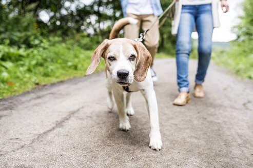 Porträt eines Hundes auf einem Spaziergang mit seinen Besitzern - HAPF00876