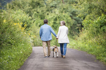 Rückenansicht eines älteren Paares bei einem Spaziergang mit Hund in der Natur - HAPF00879