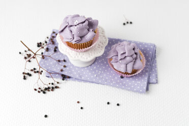 Zwei Cupcakes mit Holunderblütencreme - MYF01775