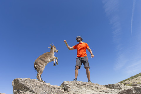 Spanien, Sierra de Gredos, Mann mit westspanischem Steinbock auf einem Felsen, lizenzfreies Stockfoto