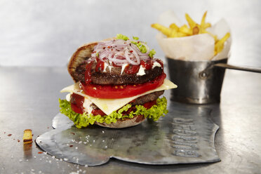 Saftiger Cheeseburger mit Pommes frites im Hintergrund - SCF00455