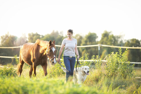 Junge Frau geht mit Pferd und Hund spazieren - MAEF12035