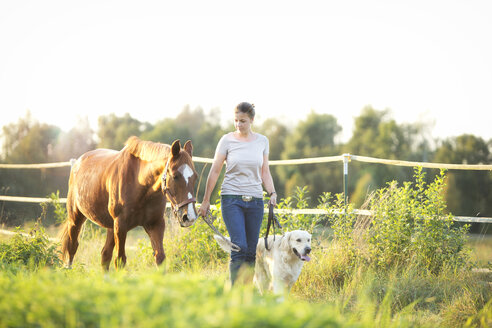 Young woman walking with horse and dog - MAEF12035