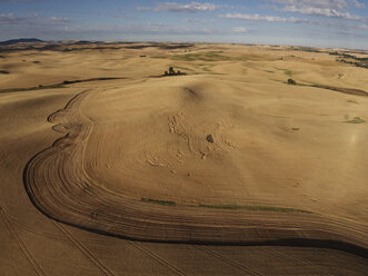 USA, Washington State, Palouse hills, wheat fields - BCDF00008
