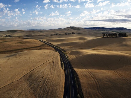 USA, Washington State, Palouse Hills, Weizenfelder während der Erntezeit - BCDF00013