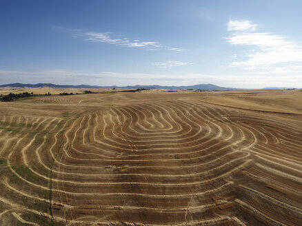 USA, Washington State, Palouse hills, wheat fields - BCDF00016