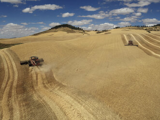 USA, Washington State, Palouse hills, wheat field and combine harvesters - BCDF00018