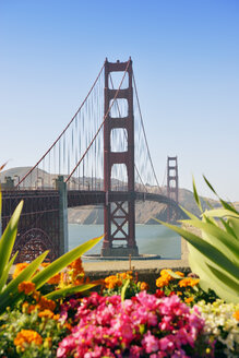 USA, Kalifornien, San Francisco, Golden Gate Bridge hinter Blumen - BRF01384