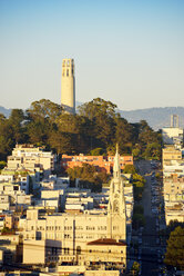 USA, Kalifornien, San Francisco, Blick vom Russian Hill auf Telegraph Hill mit Coit Tower - BRF01387