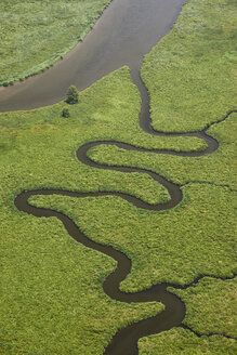 USA, Virginia, Sümpfe des Chickahominy River in der Nähe des Zusammenflusses mit dem James River - BCDF00052