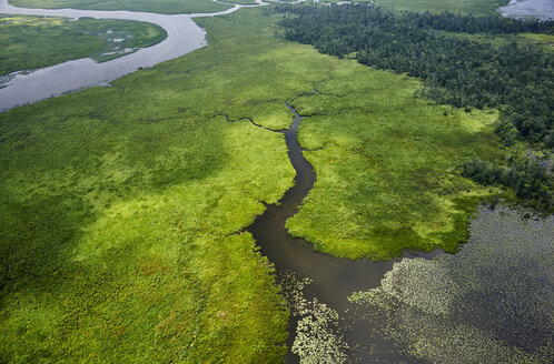 USA, Virginia, Sümpfe des Chickahominy River in der Nähe des Zusammenflusses mit dem James River - BCDF00054