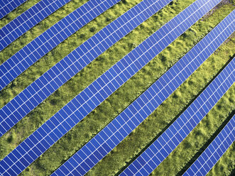 USA, North Carolina, Low-level aerial photograph of solar panels in a solar farm - BCDF00083