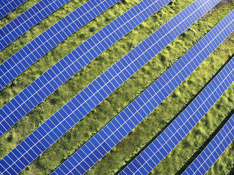 USA, North Carolina, Low-Level-Luftaufnahme von Solarmodulen in einem Solarpark - BCDF00083