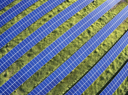 USA, North Carolina, Low-Level-Luftaufnahme von Solarmodulen in einem Solarpark - BCDF00083