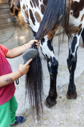 Little boy brushing horse tail - VABF00796