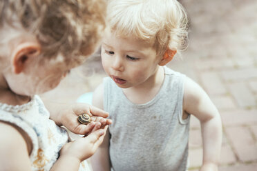 Kleiner Junge und Mädchen schauen sich eine Schnecke in der Hand an - MFF03373