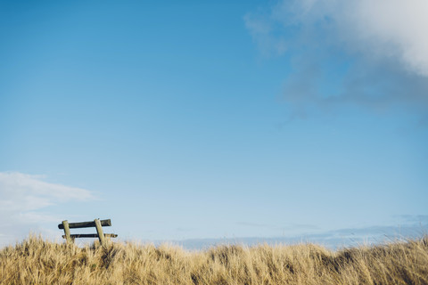 Denmark, Hals, empty bench in dunes at the Baltic Sea stock photo