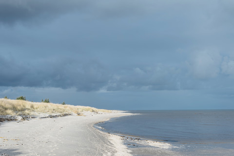 Dänemark, Hals, Dünen und Strand, lizenzfreies Stockfoto