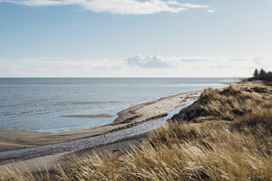 Dänemark, Hals, Dünen und Strand - MJF02031