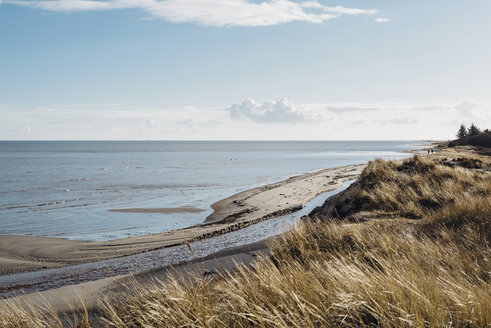 Dänemark, Hals, Dünen und Strand - MJF02031