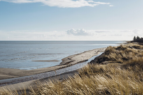 Denmark, Hals, dunes and beach - MJF02031