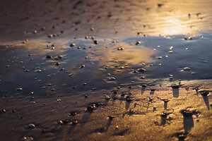 Ruhiger Strand im Sonnenlicht - MJF02055