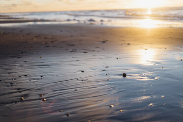 Tranquil beach in backlight - MJF02056