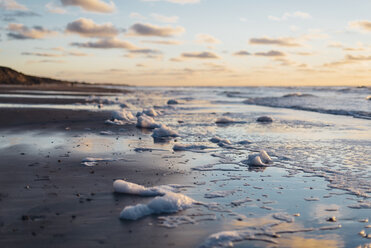 Denmark, North Jutland, tranquil beach at sunset - MJF02058