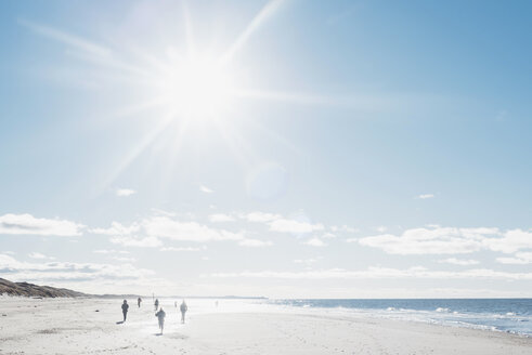 Dänemark, Hirtshals, Spaziergänger am Strand im Gegenlicht - MJF02067