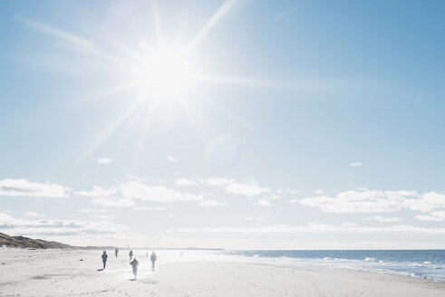 Denmark, Hirtshals, people walking on beach in backlight - MJF02067