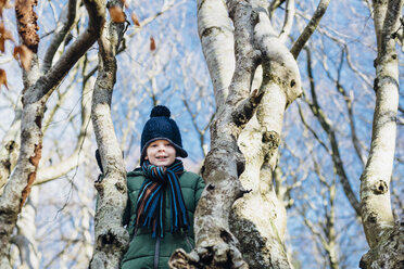 Junge klettert in Winterkleidung auf einen Baum - MJF02069
