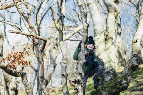 Junge klettert in Winterkleidung auf einen Baum, lizenzfreies Stockfoto