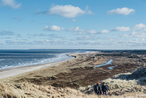 Denmark, North Jutland, dune landscape at Bulbjerg - MJ02071
